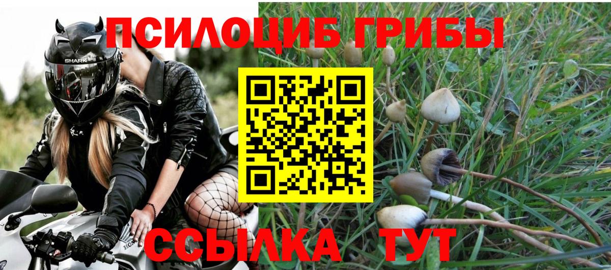 Галлюциногенные грибы Psilocybe  Вход с VPN  Псилоцибиновые грибы GOLDEN TEACHER  Иваново 